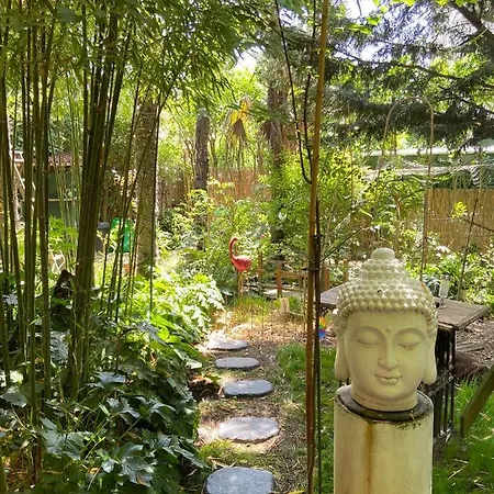 La Bulle Dans Le Palmier Gasthuis